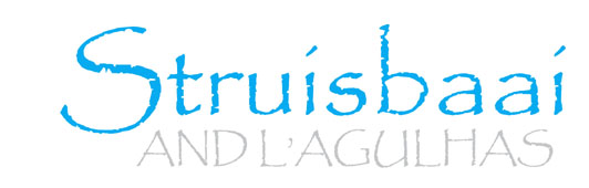 Guide to Struisbaai and L'Agulhas